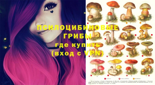 spice Алексеевка