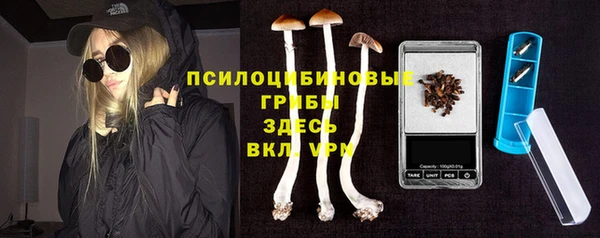 прущие крисы Алзамай