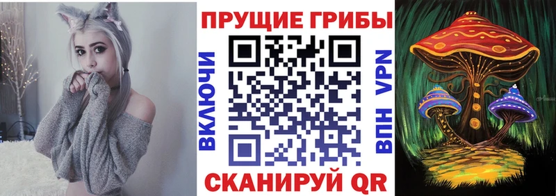 Псилоцибиновые грибы Magic Shrooms  закладка  ссылка на мегу зеркало  Кукмор 